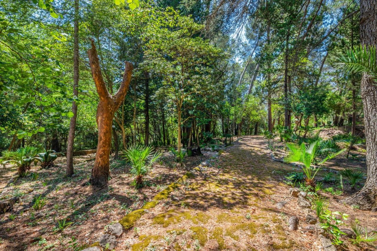 Son Grua Agroturismo - Adults Only โปเญนซา ภายนอก รูปภาพ